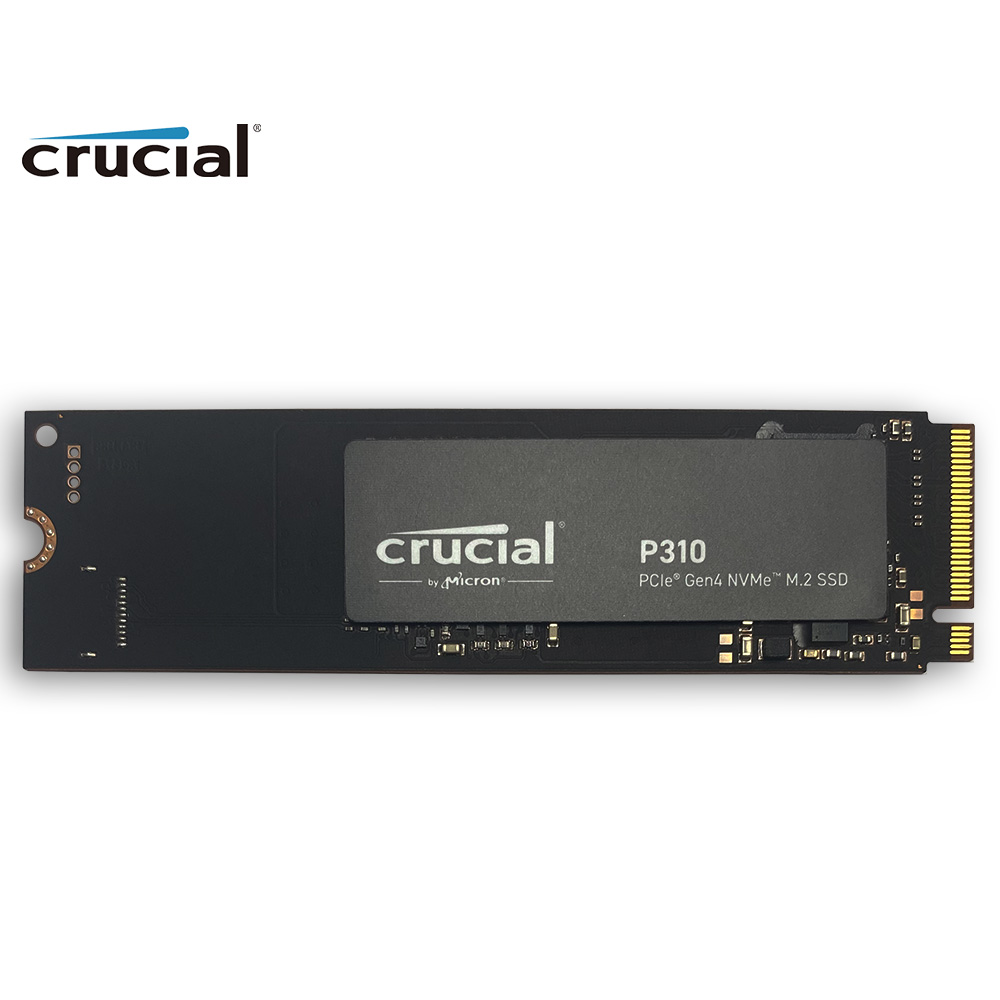 Penting P310 1TB 2280 PCIe Gen - Samsung Ssd 980 Pro ulasan dan harga